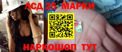 стаф Дубна