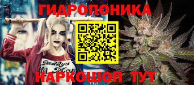 стаф Дубна