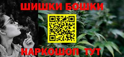 стаф Дубна