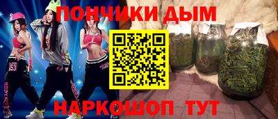 стаф Дубна