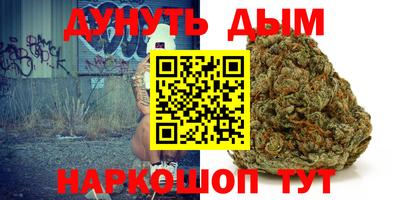 стаф Дубна