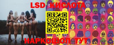 mdpv Донской