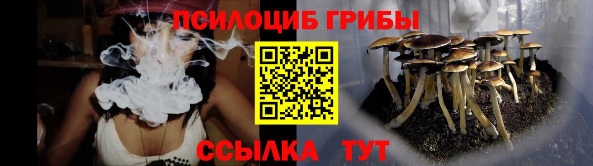 что такое наркотик  Вход с VPN  Россия  Псилоцибиновые грибы Psilocybe 